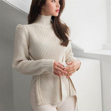 Load image into Gallery viewer, 2020 Autumn Winter Women Pullovers And Sweaters Knitted Elasticity Casual Jumper Fashion Turtleneck Warm Female Sweater